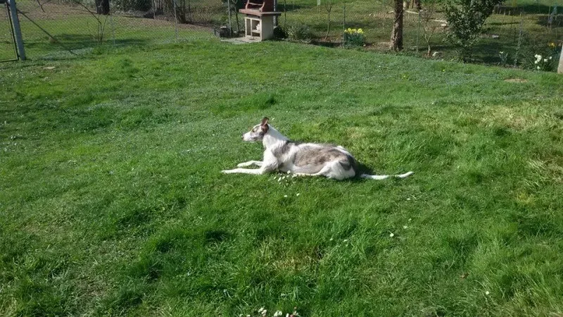 10395817 1994434394114481 1875034283123821796 n