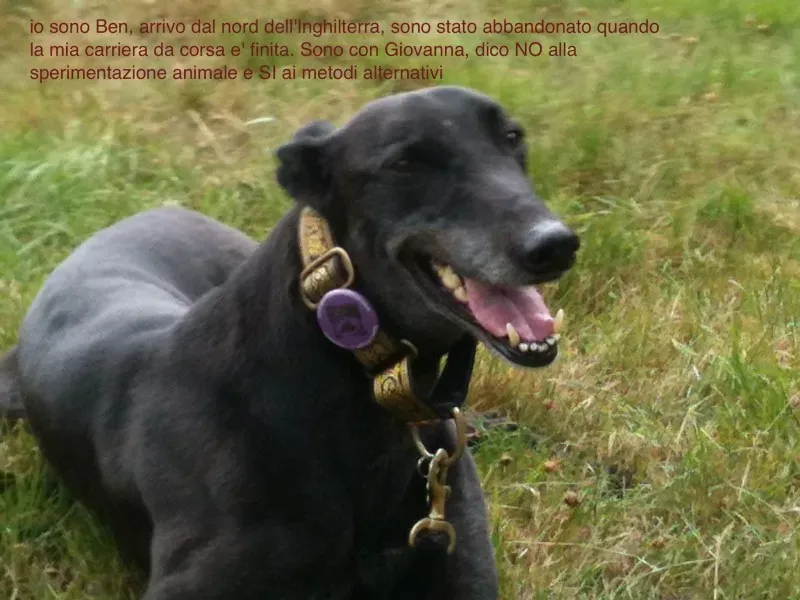 1039721 10201971346799540 196041355 o