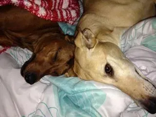 10398099 10205767158520175 1209981238559561247 n