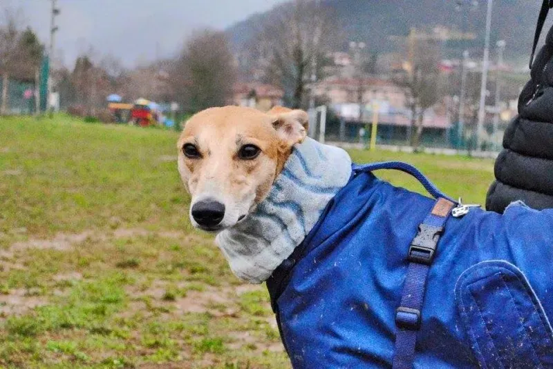 10398432 10207845045582985 4919578596636502219 n