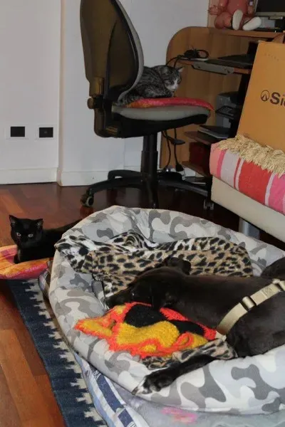 10398708 766739143409943 6505690112343497373 n