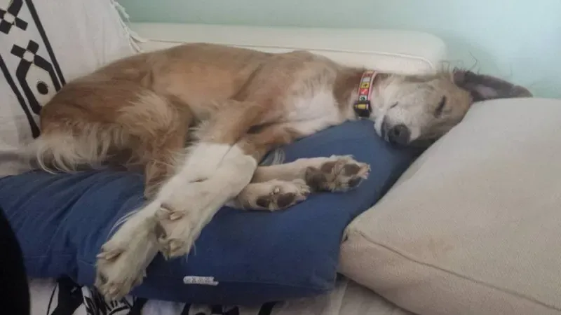 10399382 10208781028873399 6665466533704056347 n