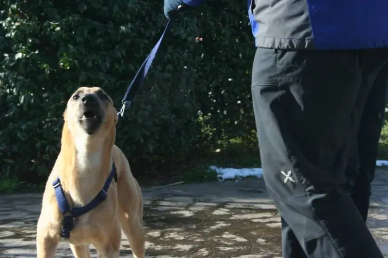 10400002 772119579538566 141200886865382067 n