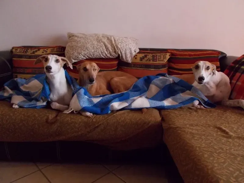 10400160 10207256133274396 7534794234207369614 n