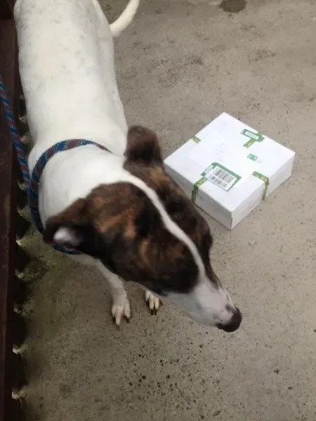 10401231 1135745696443128 6618776723802212667 n