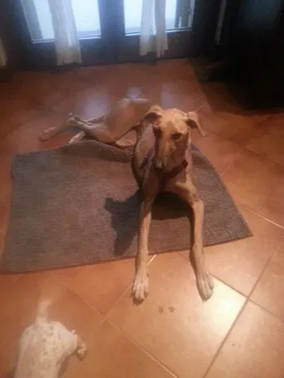 10402392 10204090691935877 3276406803566544553 n