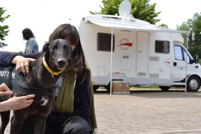 10402493 643649535718905 4661953221156434153 n