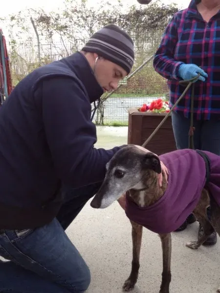 10402614 1602608266633821 2022654367508433624 n