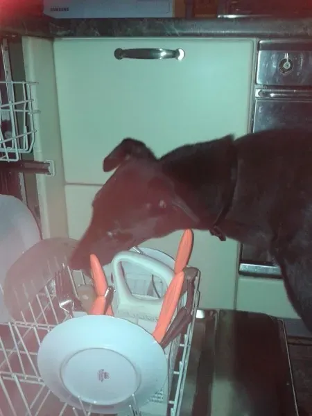 10402730 676932885717553 6445583660163245839 n