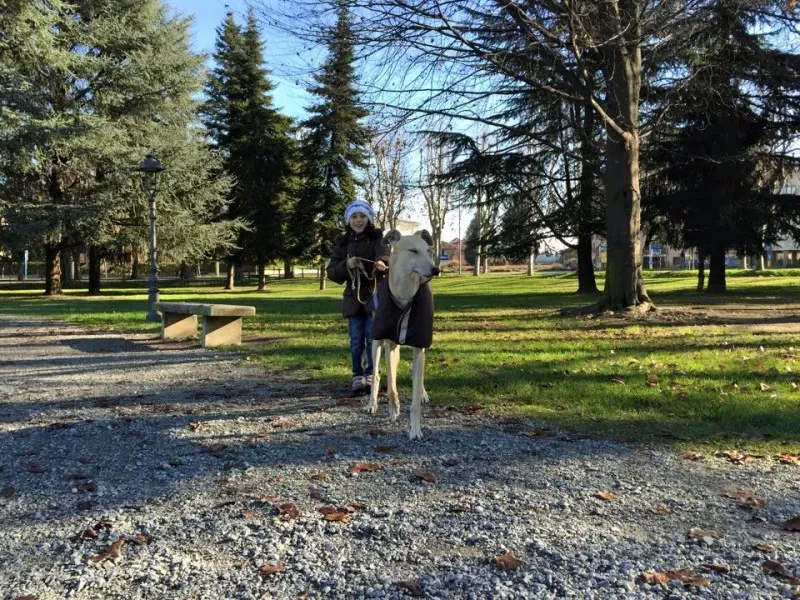 10402731 398908166932569 8108829943750703315 n