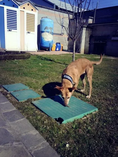 10403021 966554180029303 3909172179126452343 n