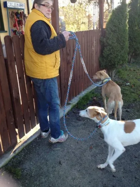 10403050 1602954846599163 5111458647371031181 n