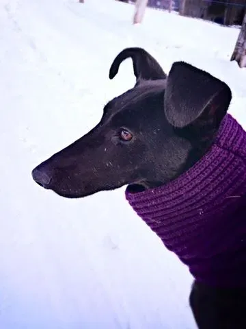 10403157 10208473701470892 3080140277011845296 n