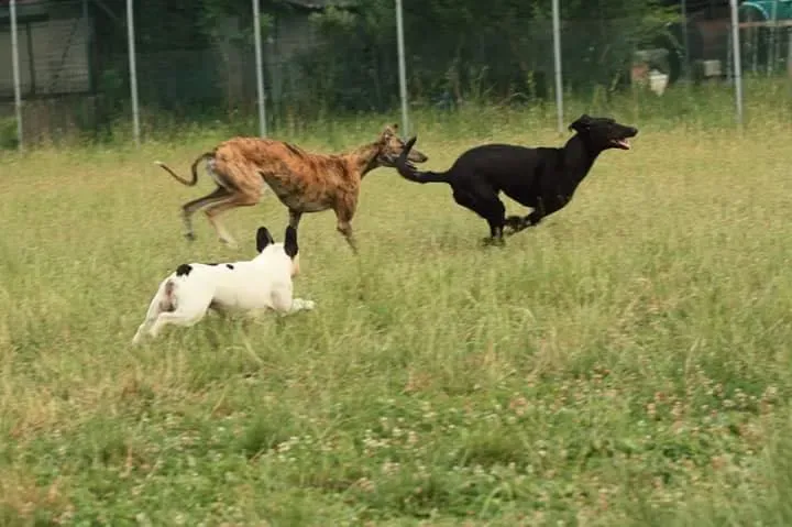 10403157 10208473701750899 6895020499160796266 n