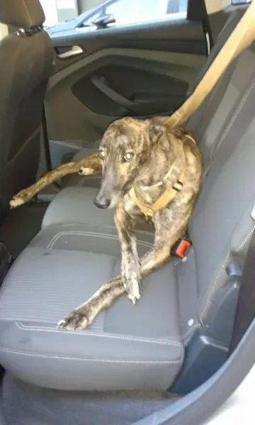 10403306 832360713514452 8271023561643281075 n