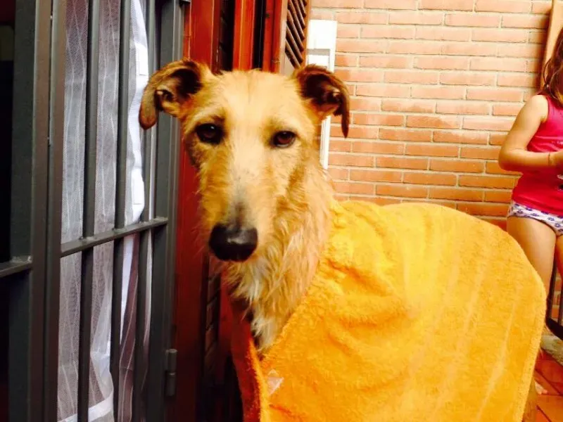 10403424 852141618210776 7165879577742773779 n