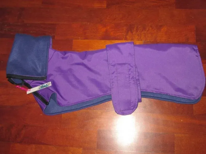 10403430 724002671016924 2693767417472384891 n