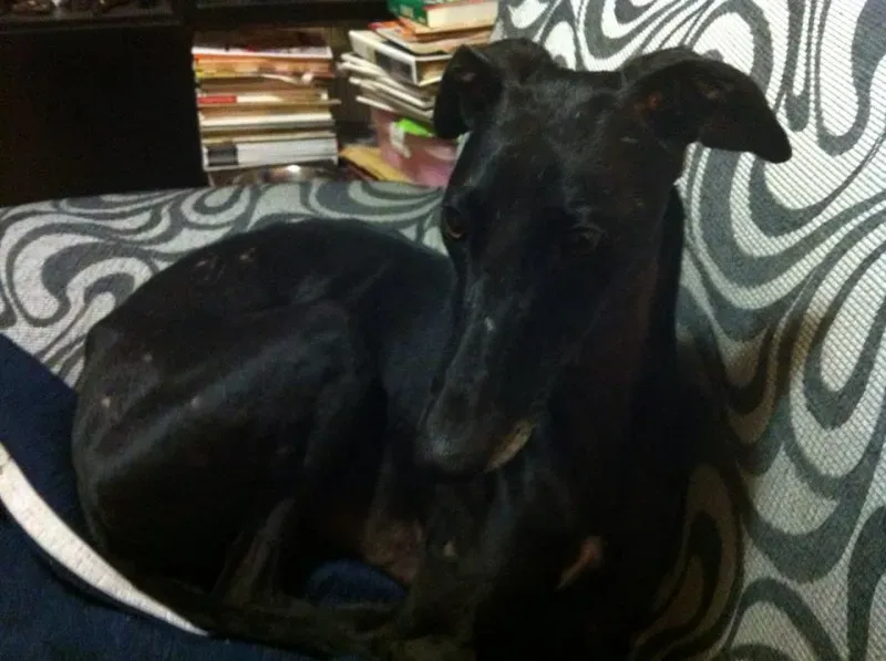 10403568 10202937615347987 4026742893176556471 n