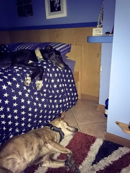 10403641 966553853362669 3369705686651403279 n