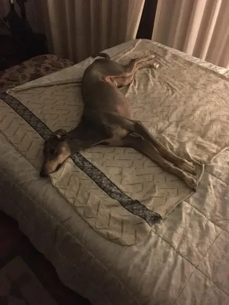 10403680 604433493037382 9151729221604733770 n