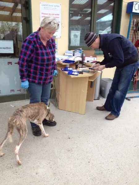 10404102 1602608373300477 6057335876072005895 n