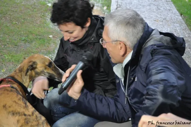 10404216 729844057099452 7129604214398480519 n