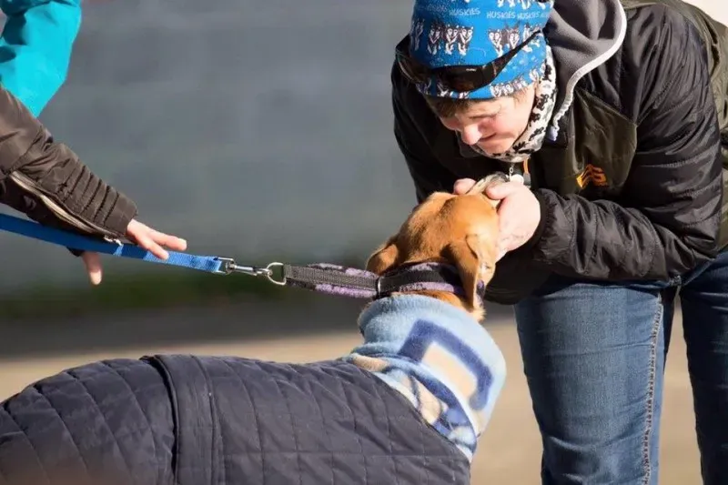 10404459 10207845048543059 8844404606625770474 n