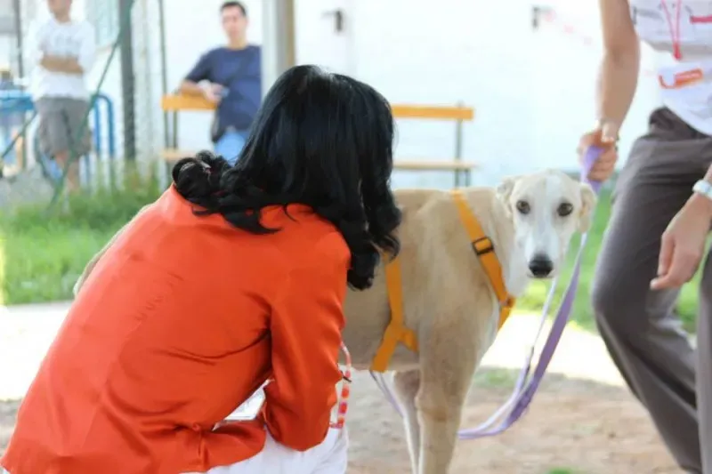 10404856 697357197014805 7132481655596200923 n