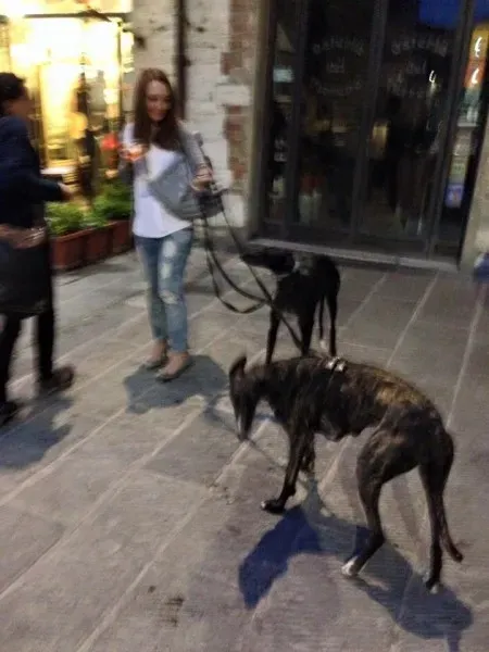 10405508 10204827363416303 8069158464021357010 n