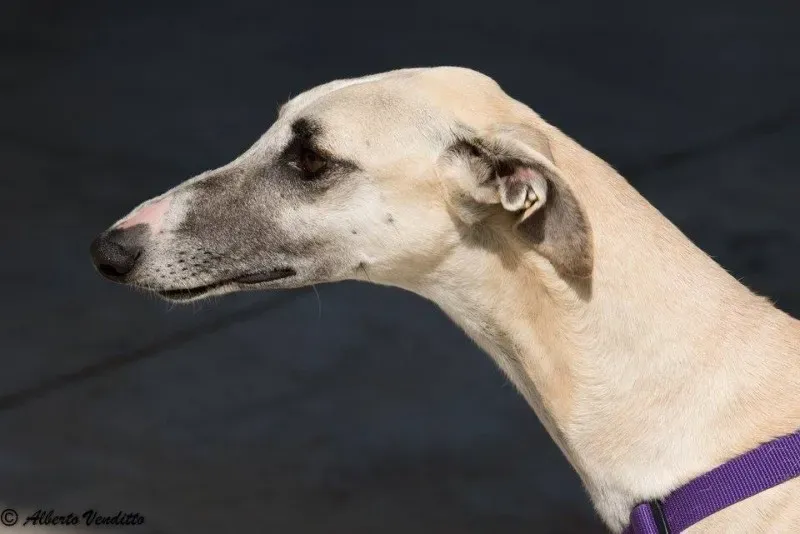 10406473 886983191385537 4638108576548721176 n