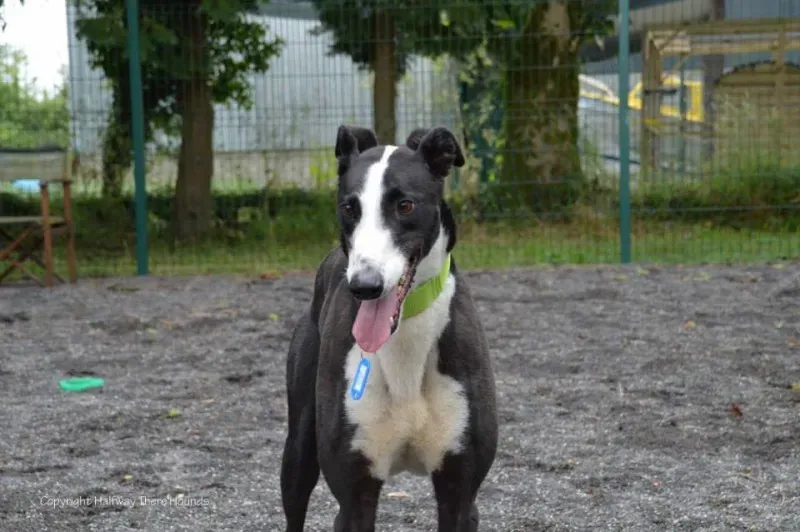 10406979 557320791042900 4703711151584403509 n