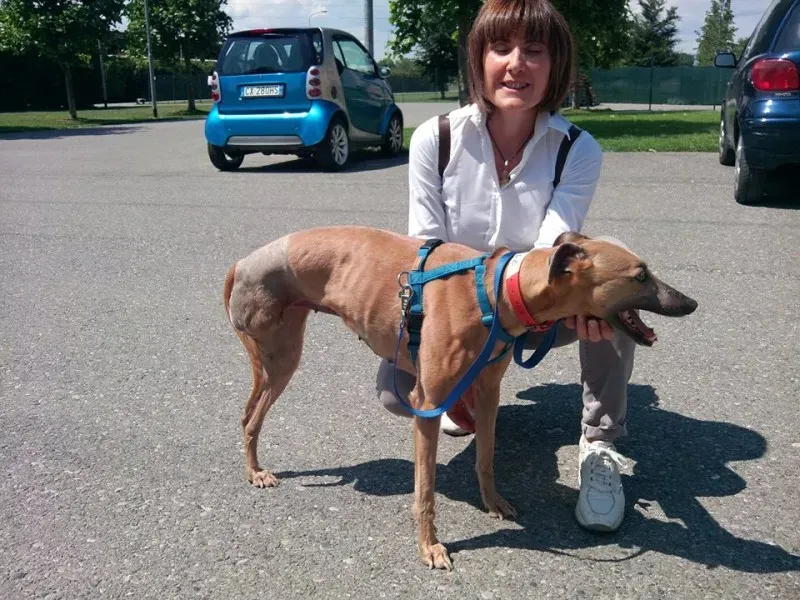 10407022 640722106011648 1498025760404360511 n