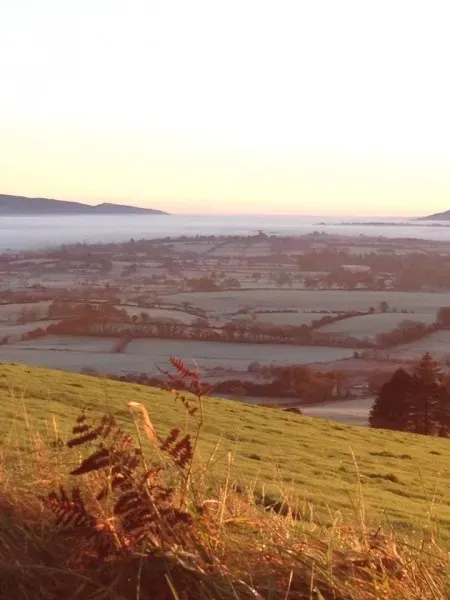 10407096 1602884536606194 7751191405495173088 n1