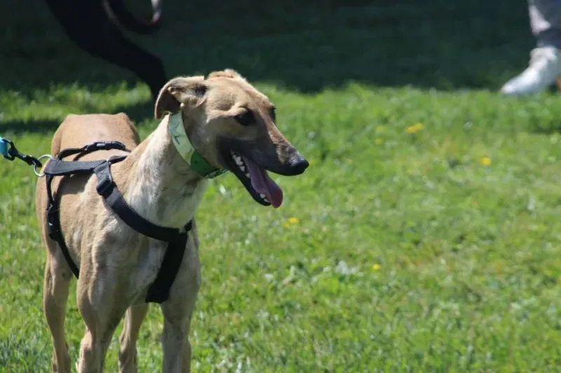 10407293 640701259347066 7214920604016937254 n