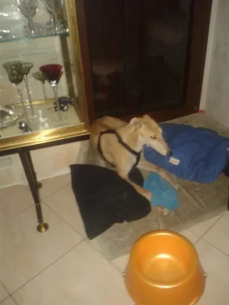 10407807 10203159845931336 2998716409637302306 n