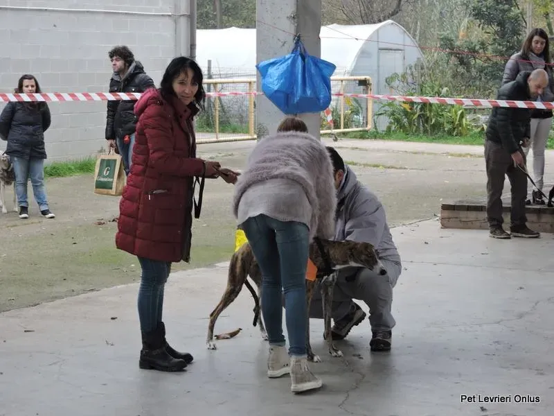 10407890 918532524897270 7014434838641591001 n