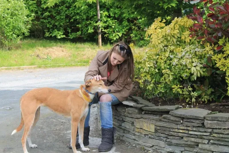 10407933 1014948718522827 669752531295143829 n