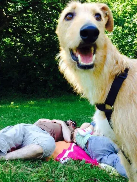 10408744 852753494816255 4356275366803071652 n