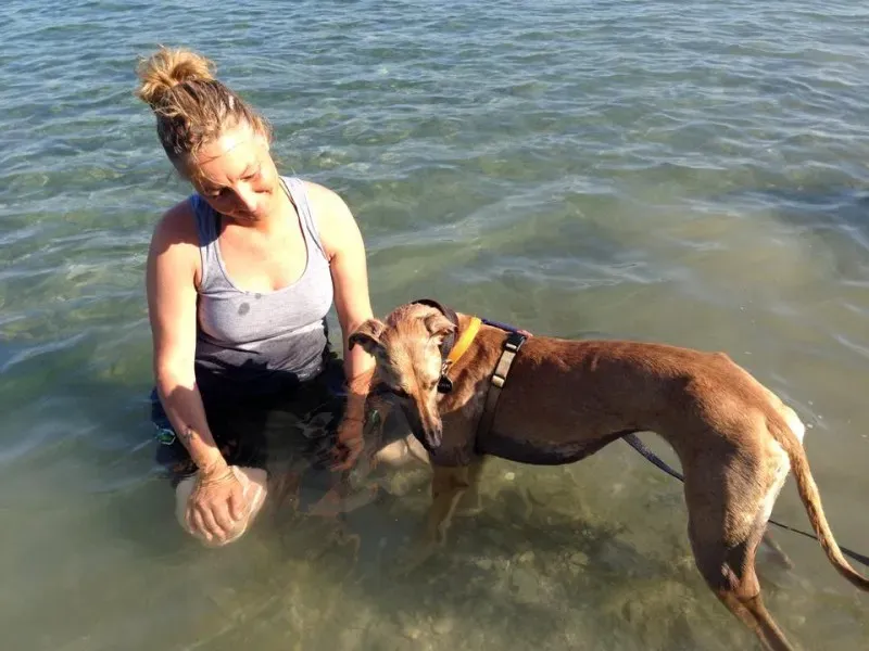 10408766 10203300288180838 8775484740584325605 n