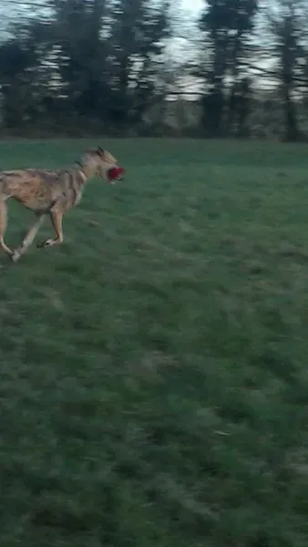 10409259 10204673571732765 7109291011052358021 n