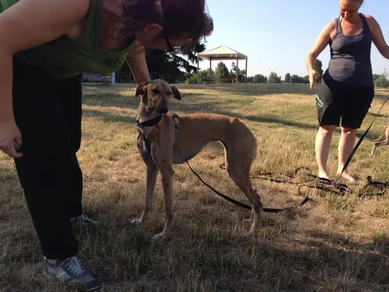 10409360 10203300310141387 5446001602289044107 n