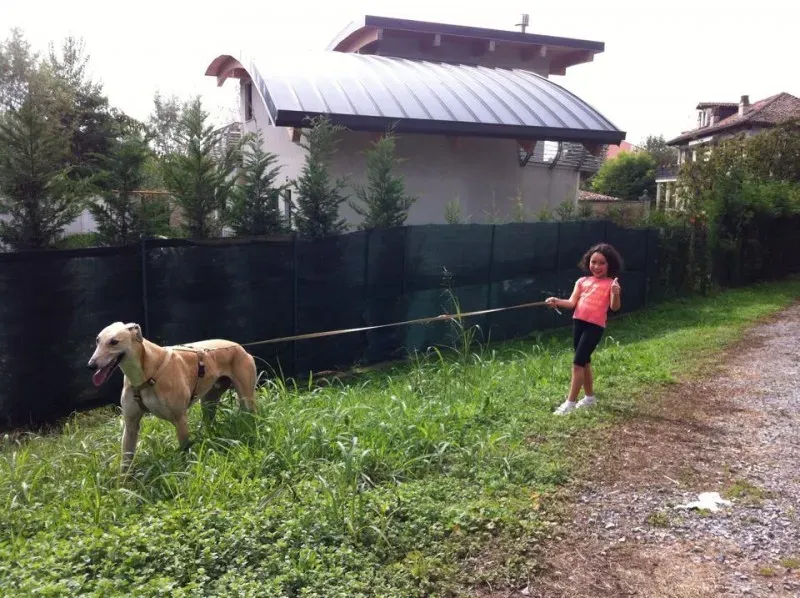 10410374 359807284175991 8433938416697101270 n