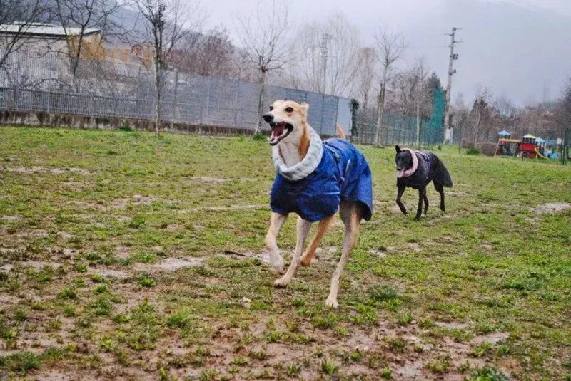 10410907 10207845045902993 8900754112959650110 n