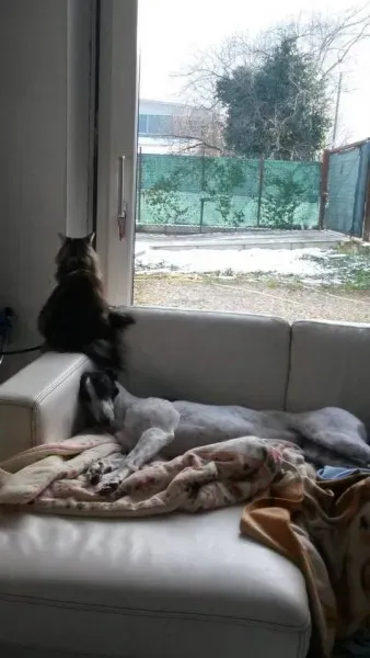 10410930 757590874324770 2153224363864574927 n