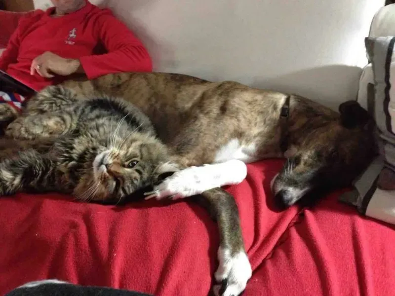 10410930 757591637658027 145497137383437377 n