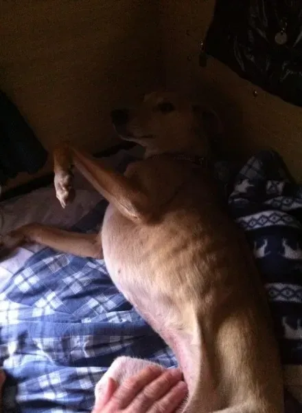 10411142 10202974045414093 7823430096517435129 n