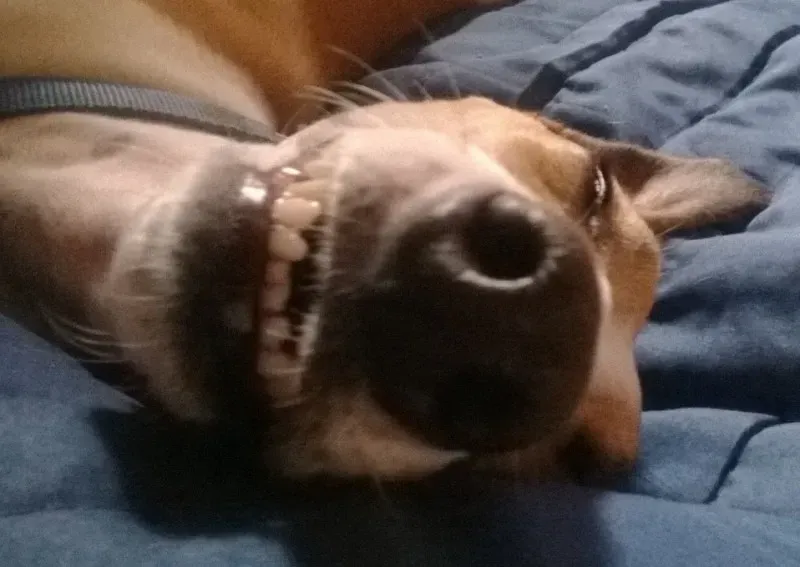 10411861 737473196313855 2578496875634978889 n