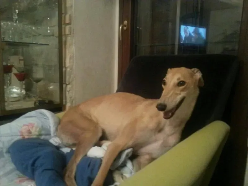 10411904 677745548975970 6787103101822445618 n