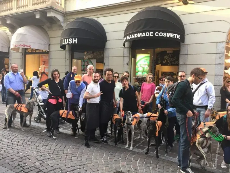 10411953 811874072229783 8305774088883526574 n