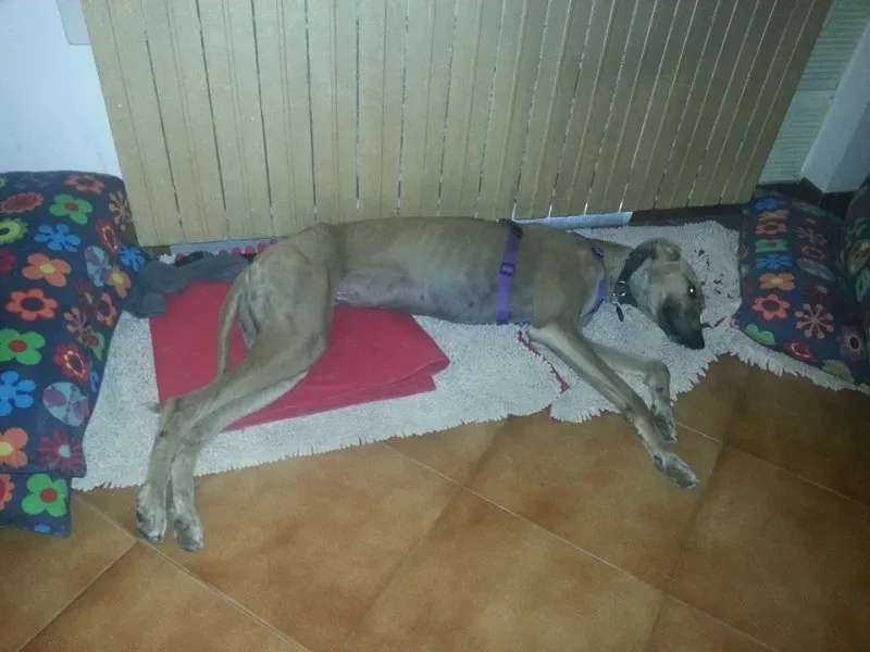 10413379 10204108855149946 5496925042508148672 n